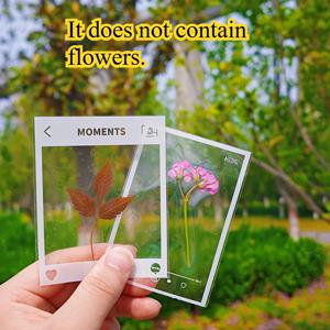 20PCS 투명 자체 접착 종이 DIY 수공예품 - 스크랩북 및 책갈피 장식에 적합