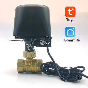 Tuya Zigbee WIFI 스마트 워터 밸브 DN15 DN20 DN25 홈 자동화 제어 수도꼭지 타이머 지원 Alexa Google Assistant SmartLife