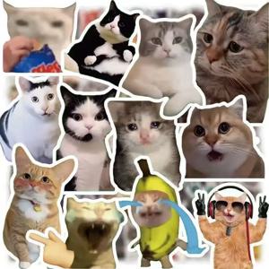 100pcs 재미 있은 귀여운 고양이 MEME 동물 스티커 Kawaii 데칼 Scrapbooking 노트북 수하물 노트북 스케이트 보드 스티커 장난감