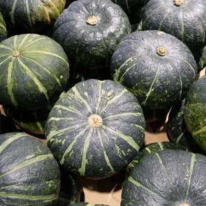달콤한 뉴질랜드 단호박 2kg 3kg 5kg