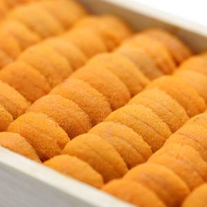 프리미엄 우니 성게알 100g 300g