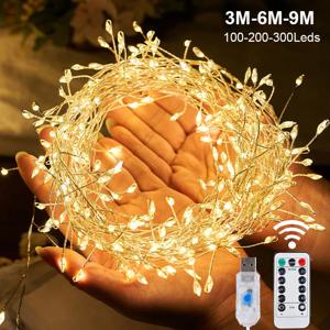 USB 전원 LED 폭죽 스트링 조명, 리모컨 화환 요정 조명, 웨딩 파티 정원 크리스마스 장식, 3, 6, 9M