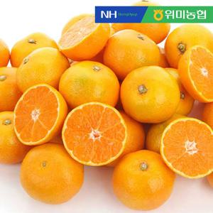 [위미농협] 싱귤생귤 13brix 비가림 제주 감귤 3kg