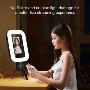 LED 모바일 비디오 스테빌라이저 충전식 휴대폰 라이트 핸드헬드 폰 스테빌라이저 (비디오 녹화용 폰 홀더 포함)