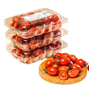 논산 고당도 저칼로리 스테비아 방울 토마토 500g 4팩 2kg