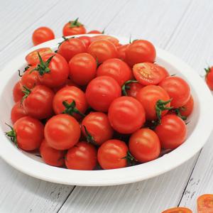 [오늘담은] 방울토마토 1 ~ 4kg 구성별 선택