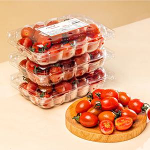 논산 고당도 저칼로리 스테비아 방울 토마토 500g 4팩 총 2kg