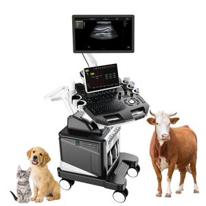 VET-14 동물병원용 4D 에코 컬러 도플러 트롤리 수의학 초음파