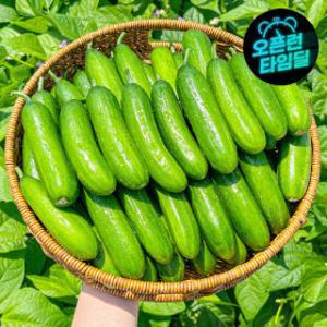농가살리기 아삭아삭 국내산 미니오이 실속용) 1kg (상등급)