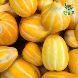(신선집중) 꿀벌 성주참외 가정용 못난이 10kg 랜덤 혼합 마감 임박 선착순 깜짝 4시간 한정 특가