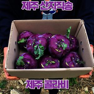 콜라비 제주 보라색무 특품 5kg 로얄과 우주최저가