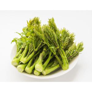 제철 봄나물 자연산 국내산 두릅 참두릅 땅두릅 300g 500g 1kg 봄나물의 황제 두릅이 돌아왔어요