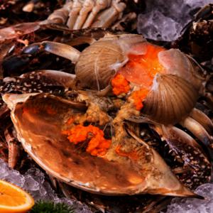 국내산 제철 암꽃게 1kg 봄알배기 활 암꽃게 꽃게찜  (키로당 4-6미내외) 당일조업 당일발송