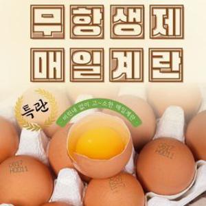 매일농장 친환경 무항생제 계란 특란 30구