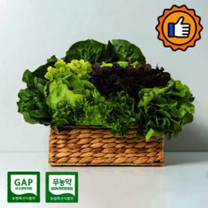 샐러드 채소 상추 쌈채소 1kg(랜덤)무농약 GAP
