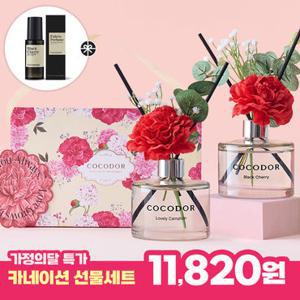 코코도르 카네이션 디퓨저 200ml 2개입 + 섬유탈취제 80ml 1개 증정