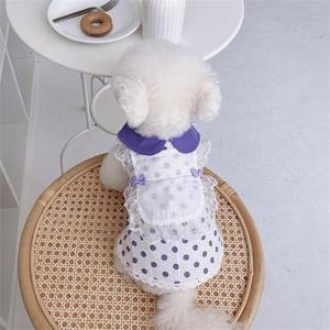 강아지고양이 봄여름옷 땡땡이 레이스원피스 드레스