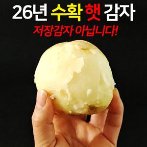 26년 수미감자 햇 감자 5kg(대/계란크기)