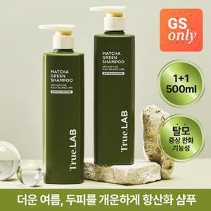 [볼륨샴푸135ml증정] 정직한실험실 여름 두피 항산화 말차 그린 샴푸 500ml*2개