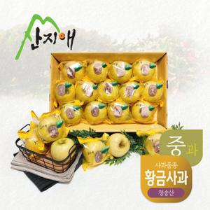 [TV상품]산지애 황금 사과 시나노골드 3kg