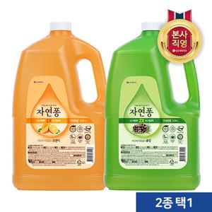 자연퐁 주방세제 솔잎/오렌지 3000ml*1개 2종택1