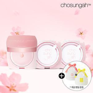 [광채볼륨크림] 조성아 레이빔 업 크림 본품 1개 + 리필 2개 (SPF50+/PA+++)