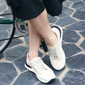 탠디본사 소가죽 스니커즈, 9923035 3color 택1 (5cm)