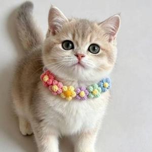 반려동물 꽃 스카프 강아지 고양이 장식 목걸이 넥케이프