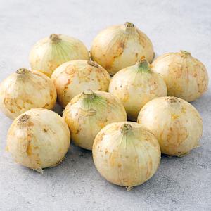 26년 무안 조생 햇양파 장아찌용(소) 3kg