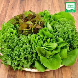 유러피안 샐러드 채소 1kg (무농약인증)