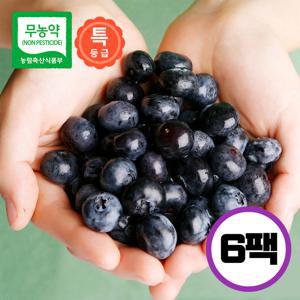 국내산 무농약 생 블루베리 100g x 6팩 (특등급)