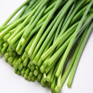 국내산 해풍맞은 남해 마늘쫑 500g 손질된 마늘종 제철 남해마늘 장아찌 반찬 DO
