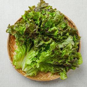 [GAP인증] 당일수확 꽃상추 1kg