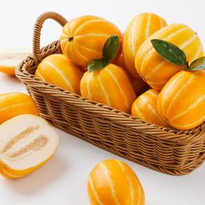 고당도 성주 꿀 참외 2kg 못난이 혼합과