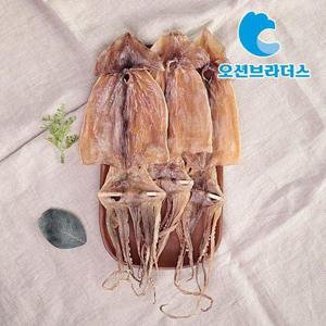 갤러리아_고소한 건오징어 210g/3마리