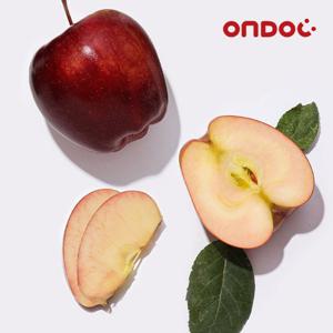 [온도씨]영주 새콤달콤 엔부사과 실속 2kg (10과내외)