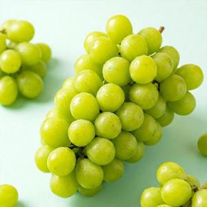 아삭달콤한 오톰크리스피 포도 씨없는 애플청포도 1kg 2팩