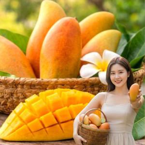 포미식탁 태국 마하차녹 무지개망고 4kg