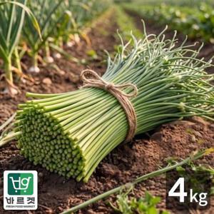 전라남도 고흥 산지직송 마늘종 4kg 바르겟