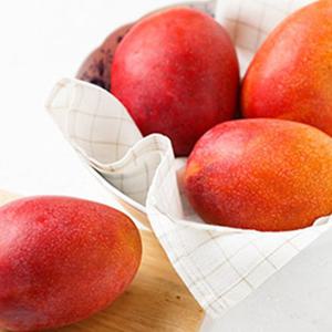 [팜쿡] 달달한 페루 애플망고 2kg (4-6과)