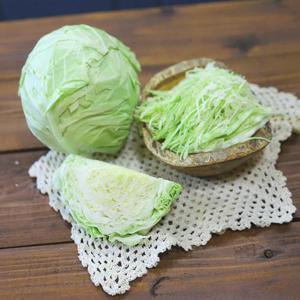[푸른들] 제주 미니 양배추 3kg(2~4통)