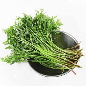 GC2511 나주 불미나리 1kg