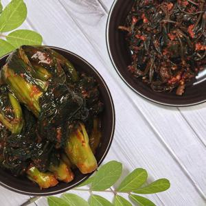 [우리남도] 산지직송 여수 돌산 갓김치2kg+고들빼기2kg (총 4kg)
