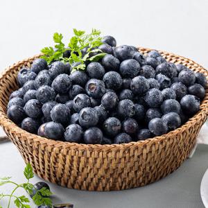 국내산 유기농 생 블루베리 왕특과(18-20mm) 500g