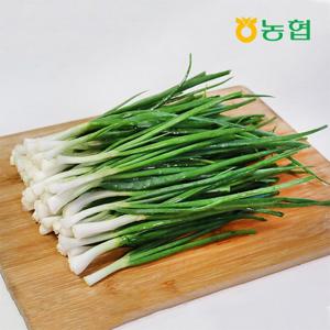농협선별 신선한 손질 쪽파 600g