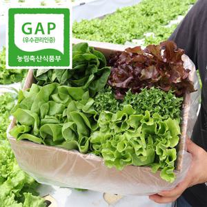 과일꾼 당일수확 산지직송 유러피언 쌈채소 1kg(4-6종)[원산지:국산(충청남도 논산)