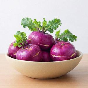 갤러리아_제주직송 아삭달큰 콜라비 3kg 혼합과