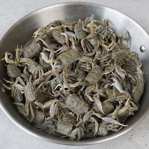 순천만  급냉 칠게 1kg( 튀김용)