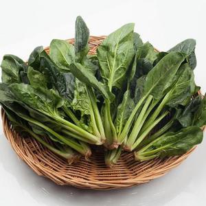 국내산 시금치 4kg