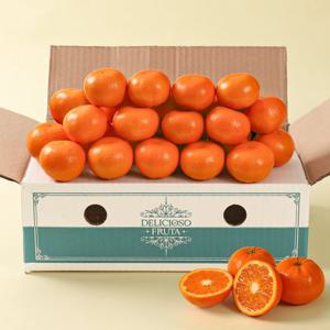 [후레쉬데이] 고당도 만다린귤 3kg내외 (32~42과)